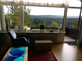  Appartement mit Südbalkon im Haus Feldbergblick in Kappel - Appartement 37  Ленцкирх